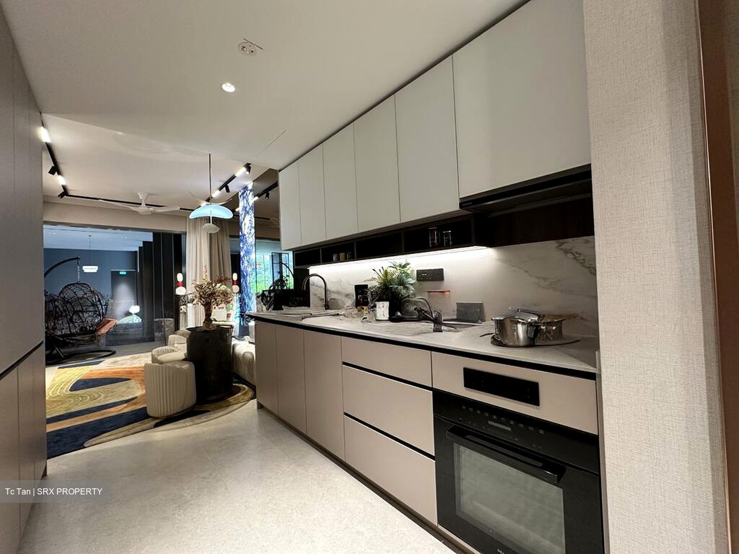 Zion Road (D10), Condominium #536310341